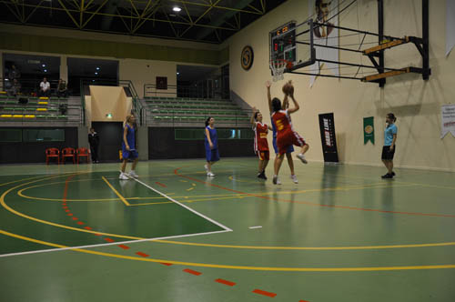 sbbl (89)